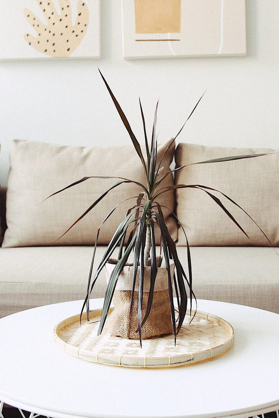 The Artisanal Bamboo Woven Round Tray